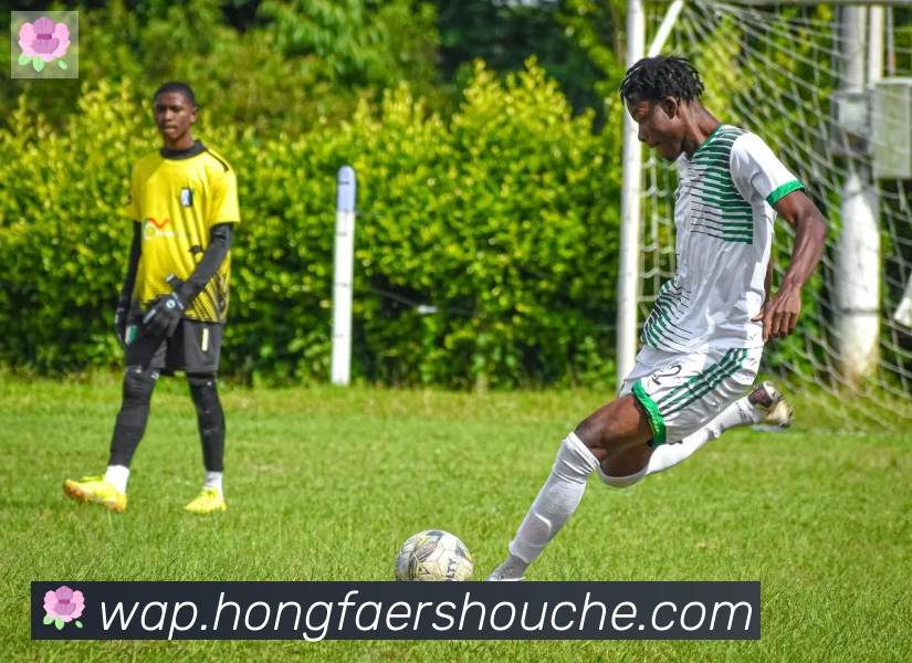 开云kaiyun网页版荣誉