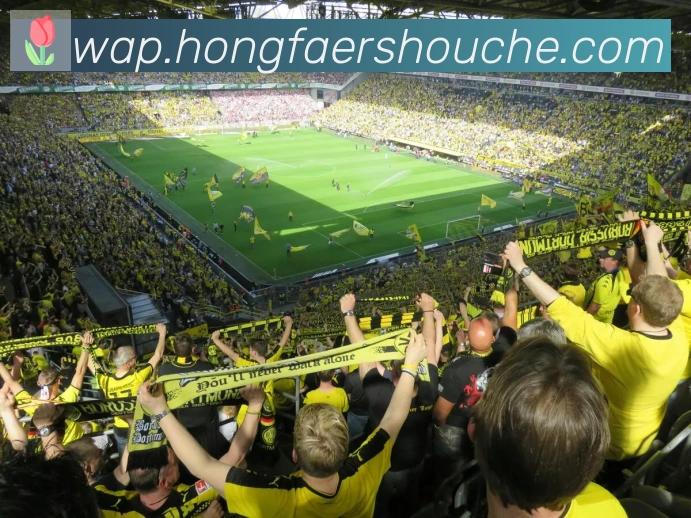 开云kaiyun网页版荣誉